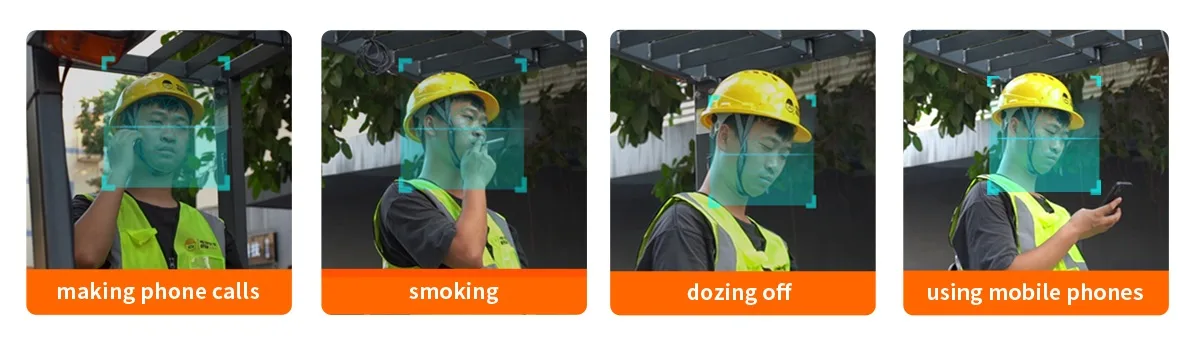 Driver Monitoring System (DMS)