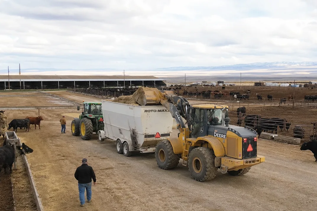 Livestock Open Farm Zones